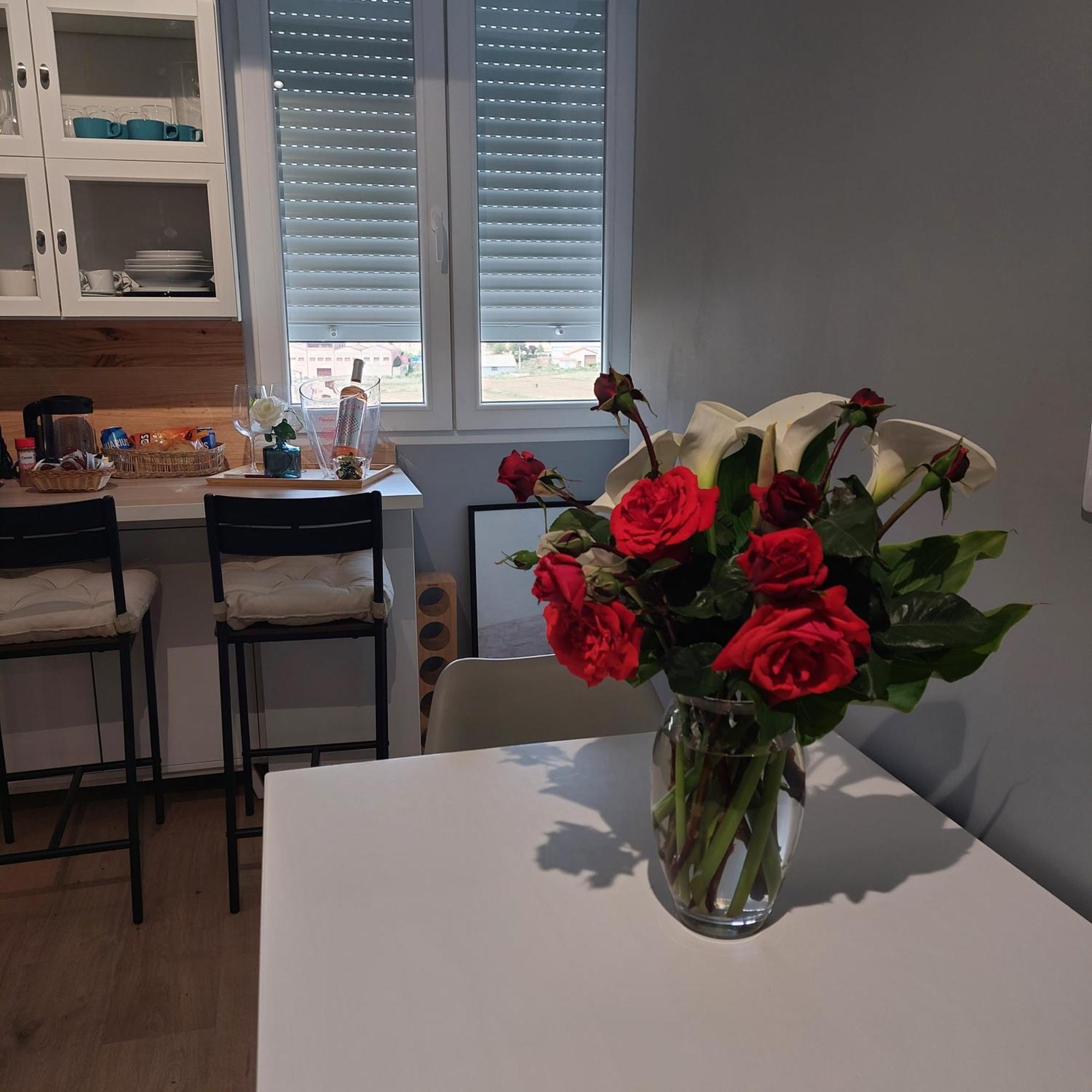 Apartamento Con Vistas A La Montana Oasis San Vicente de la Sonsierra Bagian luar foto